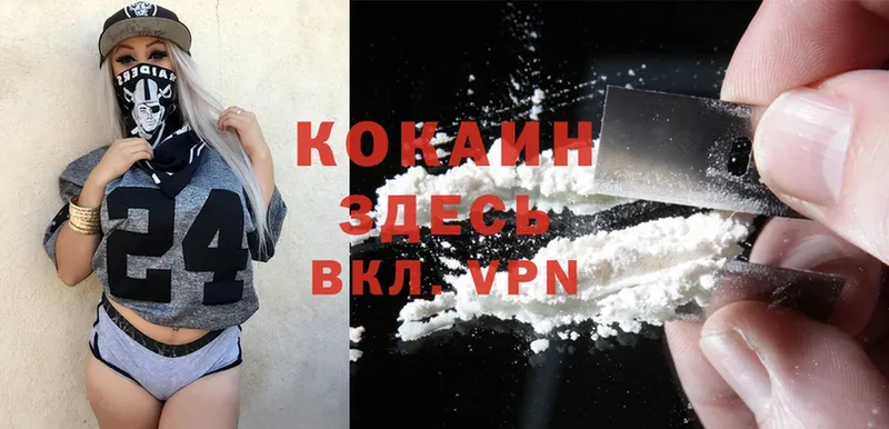 COCAIN Fish Scale  купить наркотик  мега ССЫЛКА  Ардатов 